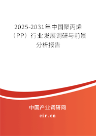 2025-2031年中國聚丙烯（PP）行業發展調研與前景分析報告