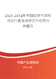 2025-2031年中國可燃氣體檢測儀行業發展研究與前景分析報告