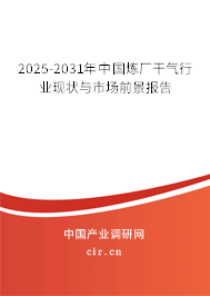 2025-2031年中國煉廠干氣行業現狀與市場前景報告