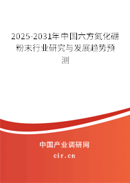 2025-2031年中國六方氮化硼粉末行業研究與發展趨勢預測