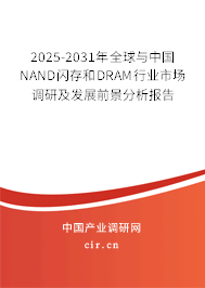 2025-2031年全球與中國NAND閃存和DRAM行業市場調研及發展前景分析報告