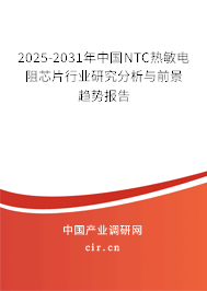 2025-2031年中國NTC熱敏電阻芯片行業研究分析與前景趨勢報告