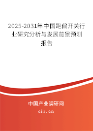 2025-2031年中國跑偏開關行業研究分析與發展前景預測報告