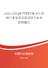 2025-2031年中國(guó)汽車點(diǎn)火線圈行業(yè)發(fā)展深度調(diào)研與未來(lái)趨勢(shì)報(bào)告