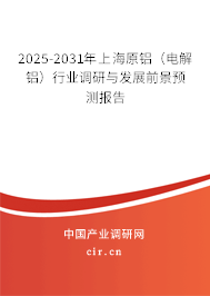2025-2031年上海原鋁（電解鋁）行業調研與發展前景預測報告