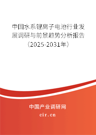 中國水系鋰離子電池行業發展調研與前景趨勢分析報告（2025-2031年）