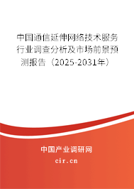 中國通信延伸網(wǎng)絡(luò)技術(shù)服務(wù)行業(yè)調(diào)查分析及市場前景預(yù)測報告（2025-2031年）