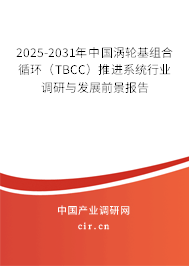 2025-2031年中國渦輪基組合循環（TBCC）推進系統行業調研與發展前景報告