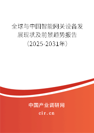 全球與中國智能網關設備發展現狀及前景趨勢報告（2025-2031年）