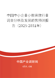 中國中小企業小額貸款行業調查分析及發展趨勢預測報告（2025-2031年）