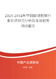 2025-2031年中國保健拖鞋行業現狀研究分析及發展趨勢預測報告