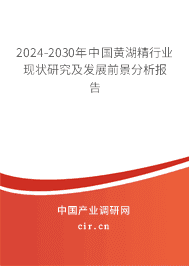 2023-2029年中國黃湖精行業現狀研究及發展前景分析報告