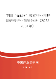 中國(guó)“光伏+”模式行業(yè)市場(chǎng)調(diào)研與行業(yè)前景分析（2025-2031年）