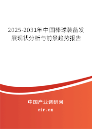 2025-2031年中國棒球裝備發展現狀分析與前景趨勢報告
