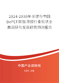 2024-2030年全球與中國BoPET聚酯薄膜行業現狀全面調研與發展趨勢預測報告