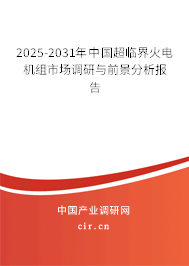 2025-2031年中國超臨界火電機組市場調研與前景分析報告