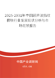 2024-2030年中國超聲波指紋模塊行業發展現狀分析與市場前景報告