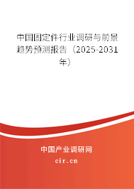 中國固定件行業(yè)調(diào)研與前景趨勢預(yù)測報(bào)告（2025-2031年）