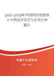 2025-2031年中國內窺鏡攝像頭市場調查研究與前景分析報告