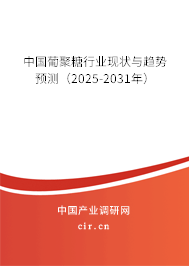 中國葡聚糖行業現狀與趨勢預測（2025-2031年）