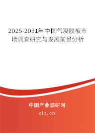 2025-2031年中國氣凝膠板市場調查研究與發展前景分析