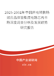 2025-2031年中國聲電轉換場效應晶體管集成電路芯片市場深度調查分析及發展趨勢研究報告