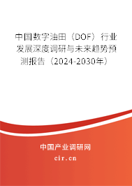 中國數字油田（DOF）行業發展深度調研與未來趨勢預測報告（2024-2030年）