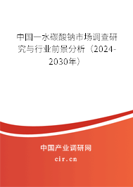 中國(guó)一水碳酸鈉市場(chǎng)調(diào)查研究與行業(yè)前景分析（2024-2030年）