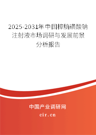 2023-2029年中國樟腦磺酸鈉注射液市場調(diào)研與發(fā)展前景分析報(bào)告