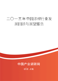 二〇一三年中國滌棉行業發展回顧與展望報告