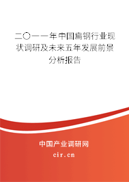 二〇一一年中國扁鋼行業現狀調研及未來五年發展前景分析報告