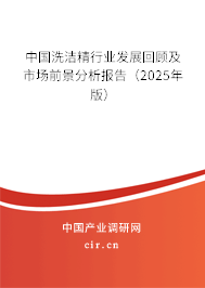 中國洗潔精行業發展回顧及市場前景分析報告（2025年版）