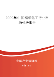 2009年中國精細化工行業市場分析報告