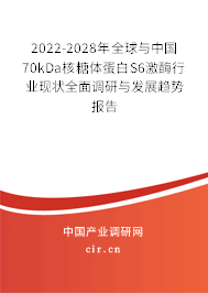 2022-2028年全球與中國70kDa核糖體蛋白S6激酶行業(yè)現(xiàn)狀全面調(diào)研與發(fā)展趨勢報(bào)告