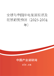 全球與中國岸電發展現狀及前景趨勢預測（2025-2031年）