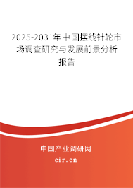 2025-2031年中國擺線針輪市場調查研究與發展前景分析報告