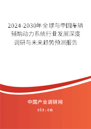 2024-2030年全球與中國車輛輔助動力系統行業發展深度調研與未來趨勢預測報告