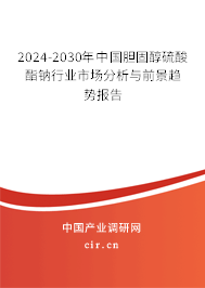 2024-2030年中國膽固醇硫酸酯鈉行業市場分析與前景趨勢報告