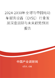 2024-2030年全球與中國電動(dòng)車服務(wù)設(shè)備（EVSE）行業(yè)發(fā)展深度調(diào)研與未來趨勢預(yù)測報(bào)告