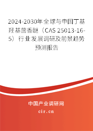 2024-2030年全球與中國丁基羥基茴香醚（CAS 25013-16-5）行業發展調研及前景趨勢預測報告