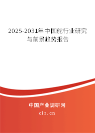 2025-2031年中國舵行業研究與前景趨勢報告