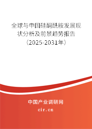 全球與中國硅酮酰胺發展現狀分析及前景趨勢報告（2025-2031年）