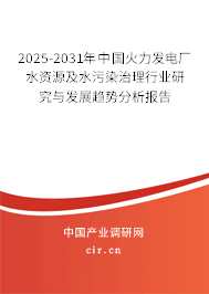 2025-2031年中國火力發電廠水資源及水污染治理行業研究與發展趨勢分析報告