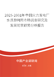 2025-2031年中國火力發電廠水資源利用市場調查研究及發展前景趨勢分析報告
