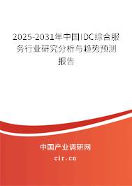 2025-2031年中國IDC綜合服務行業研究分析與趨勢預測報告