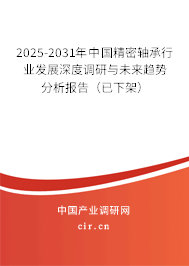 2025-2031年中國精密軸承行業(yè)發(fā)展深度調(diào)研與未來趨勢(shì)分析報(bào)告（已下架）