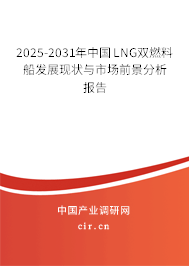 2025-2031年中國LNG雙燃料船發展現狀與市場前景分析報告