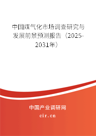 中國煤氣化市場調查研究與發展前景預測報告（2025-2031年）