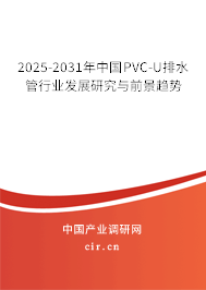 2025-2031年中國PVC-U排水管行業發展研究與前景趨勢