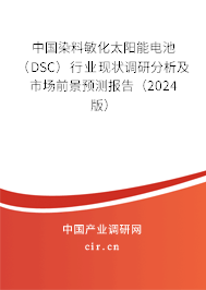 中國染料敏化太陽能電池（DSC）行業現狀調研分析及市場前景預測報告（2024版）